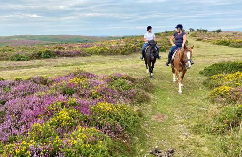 Pardlestone Farm – Self-Catering Cottages - Foto 61
