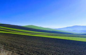 Angela's Apartment. Elegant two bedroom house in Irsina - Foto 64