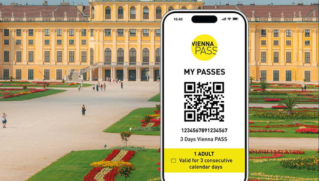 Vienna Pass - Foto 5, Con la Vienna Pass podréis descubrir cómodamente la ciudad