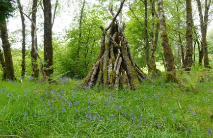 Bunroy Park - Foto 60