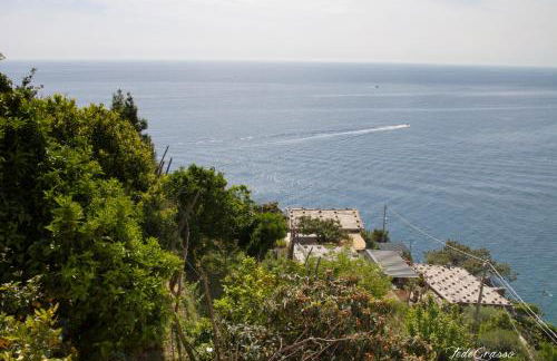 Marina di Corniglia Big Flat in 5 TERRE - Foto 34