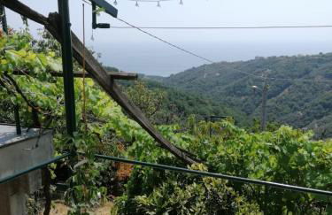 CA DU STEA - Foto 28