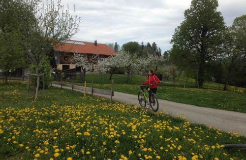Ferienwohnung Manu - Foto 9