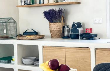 Tinos Seaside Gem - Cycladic 2BR 500m from Center - Foto 48