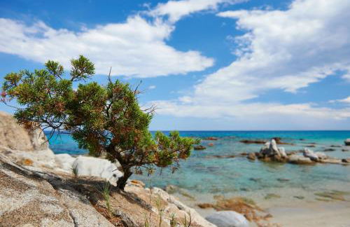 Villa Sangemi - Foto 70