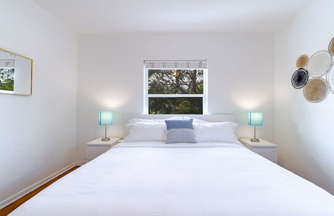 The Blue Parrot - Foto 2