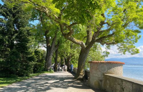 Lieblingsmensch - Foto 11