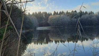 Nature Escape Apartment With Private Lake - Photo 2