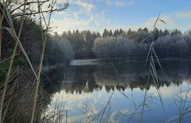 Nature Escape Apartment With Private Lake - Photo 2