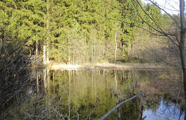 Apartments, Lissendorf - Foto 76