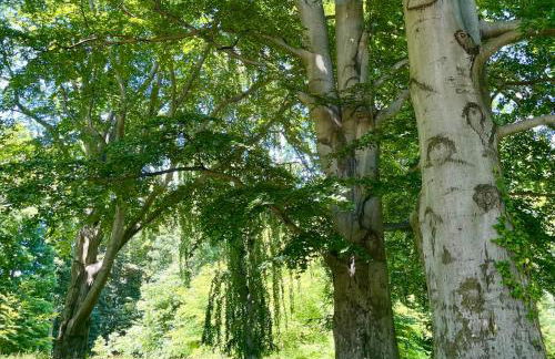 Ferienwohnung Auszeit am Schlossberg - Foto 13