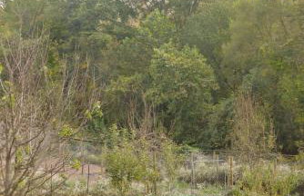 Bucks County Home Farm Philadelphia Dog Friendly - Foto 35