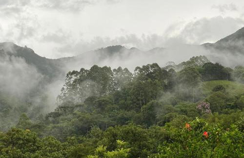 Casa de campos são Francisco Xavier Xavier - Foto 46
