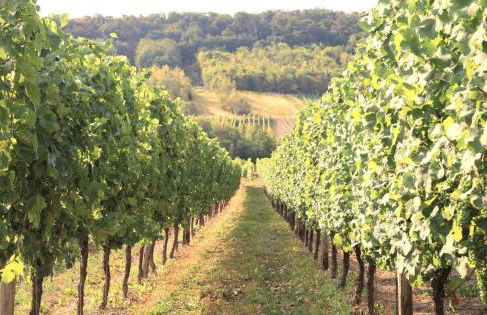 Friends and Family Leiwen - Foto 22