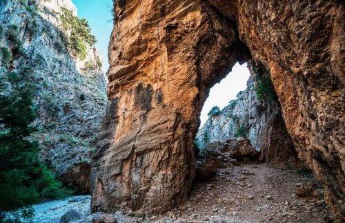 Traditional Villa Askyfou - Photo 75