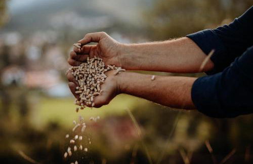 Babel´s Auszeit - Foto 72