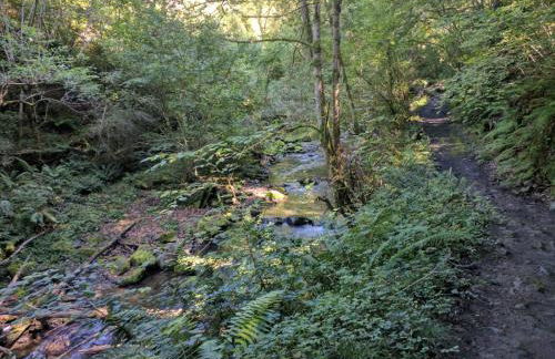 Apartamento Cabañaquinta Senderista - Foto 23