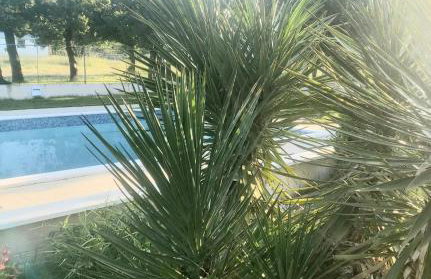 Kaja House Apartments - Foto 27