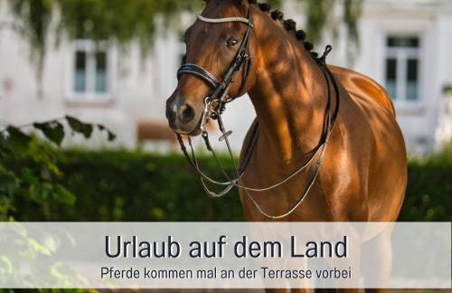 RamosHansenHof Fewo Hofglück 4Pers mit Hund - Foto 11