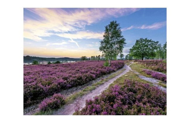 Holiday Home in the Fairytale Forest - Foto 17