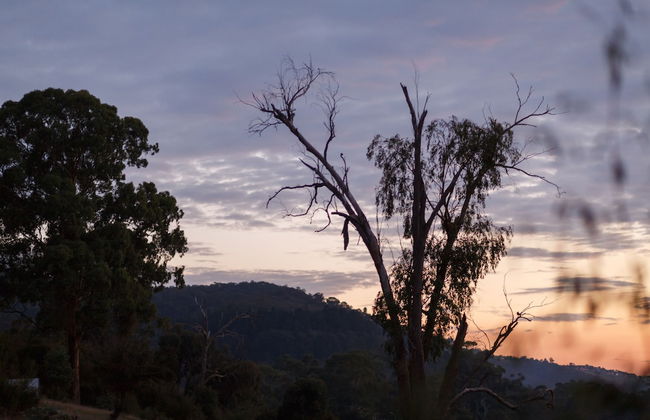 Yering Gorge Cottages - Foto 73