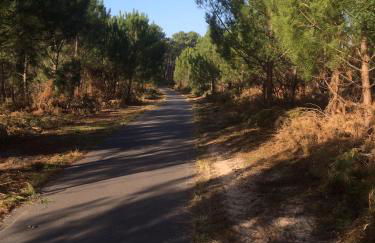 Maison landaise moderne avec piscine chauffée et spa - Foto 23