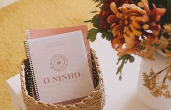 As Andorinhas - Foto 15