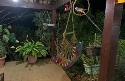 Vale das Estrelas - vale das videiras - araras - Foto 33