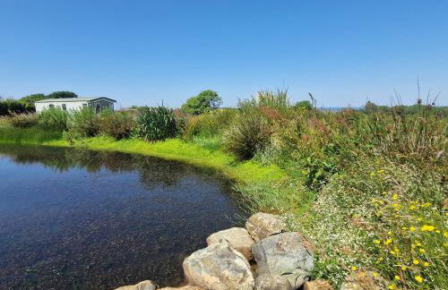 Plas Tirion Caravan - Foto 14