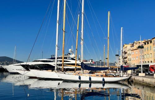 PORT GRIMAUD GOLFE ST TROPEZ BEL APPARTEMENT - Foto 25