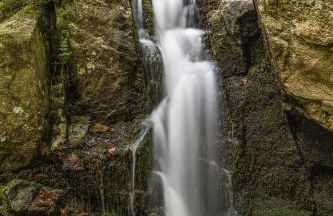 Ferienwohnung am Seebach´l - Foto 12