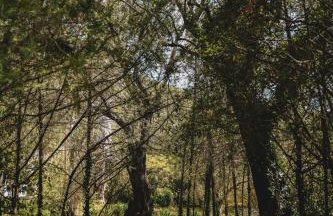 Dimoulitsa Villas Complex - Foto 24