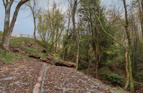 Fron Haul - Gwennol - Photo 24