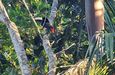 Sítio Donana Sana - Photo 27