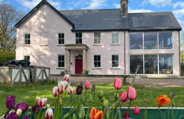 The Pink House - Photo 1