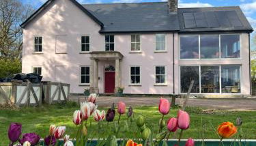 The Pink House - Photo 1