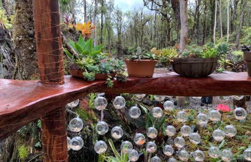 Exotic Garden cottage at amazing volcano fissure - Foto 12