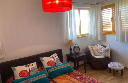 Casa de Pereiras, Vimioso - Foto 18