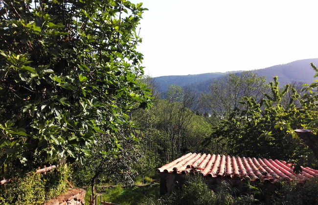 Retiro de Gondramaz - Photo 24