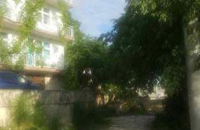 David in 4 - Foto 18