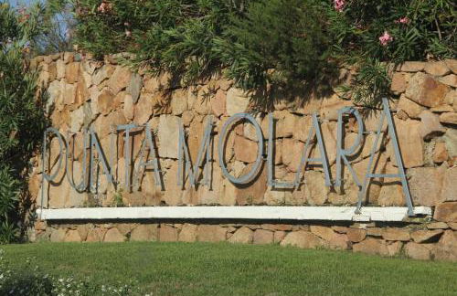 Acquazzurra a Punta Molara - Foto 13