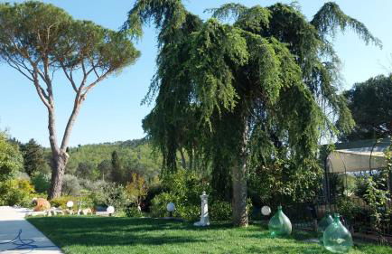 Villa Salviati - Foto 52