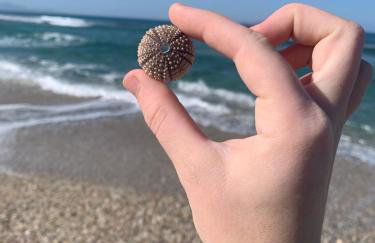 Khroma Luxury Suite 2 Beach front apartment - Photo 42