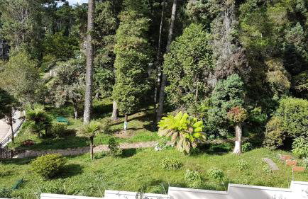 Condessa de Bonneval em Campos do Jordão - Foto 60