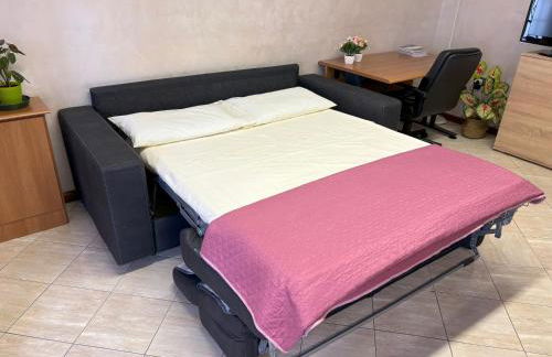 Rose e Frutta - Yellow Daisy - Foto 27