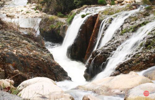 Casa da Risca - Foto 9