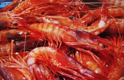 Casa 4Estacions Palamós 3a linia mar Port Marina-Camí de Ronda-pàrquing - Foto 51