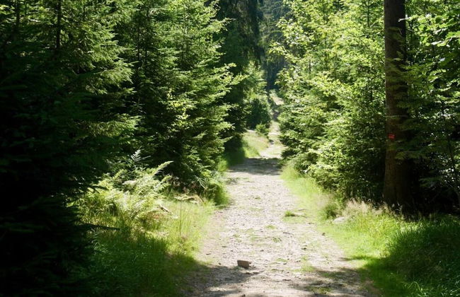 Holiday Apartment Wellness & Relaxation - Foto 2