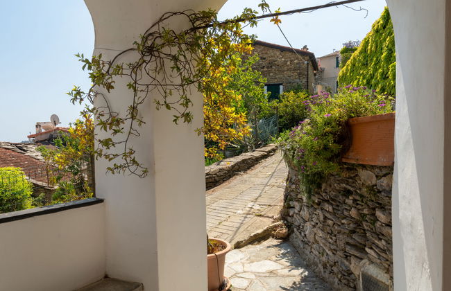 Bellissimi (DOL280) - Foto 20