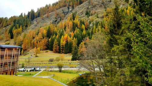 Monterosa Apartment - Champoluc #Bluchalet - Foto 3
